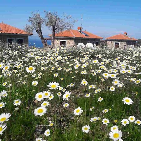 Ktima Kiourelioti Villa Skala Sykamineas ภายนอก รูปภาพ