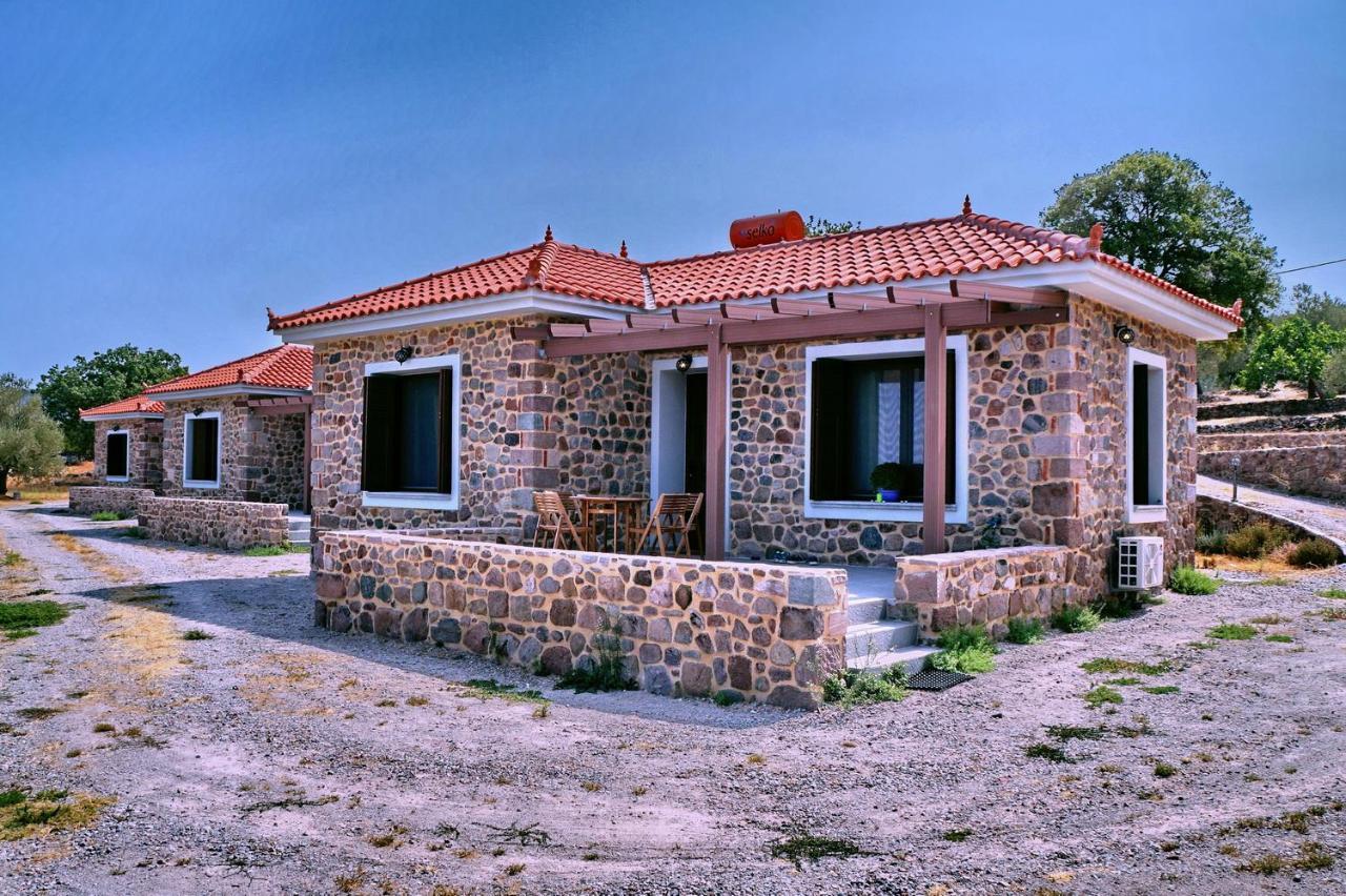 Ktima Kiourelioti Villa Skala Sykamineas ภายนอก รูปภาพ