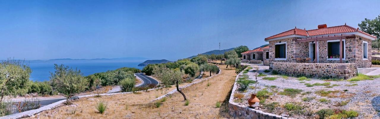 Ktima Kiourelioti Villa Skala Sykamineas ภายนอก รูปภาพ