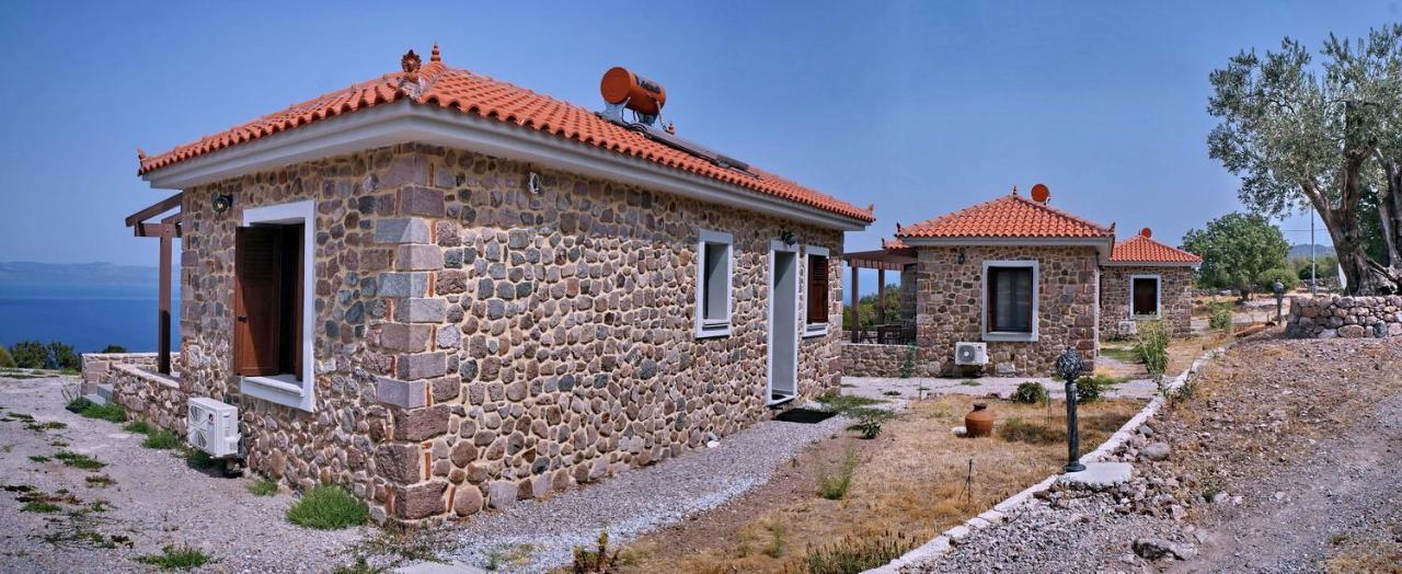 Ktima Kiourelioti Villa Skala Sykamineas ภายนอก รูปภาพ