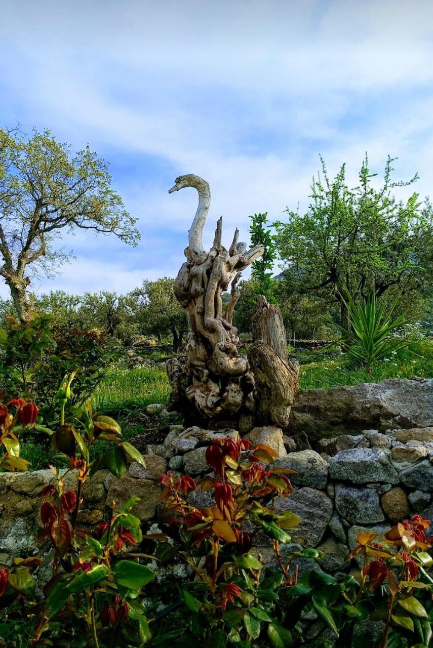 Ktima Kiourelioti Villa Skala Sykamineas ภายนอก รูปภาพ